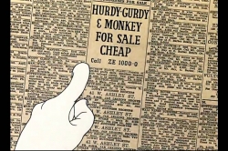 باگز بانی (خرگوش؛ نوازنده خیابانی)